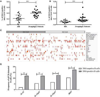 Modifications of the Transcriptomic Profile of Autoreactive B Cells From Pemphigus Patients After Treatment With Rituximab or a Standard Corticosteroid Regimen